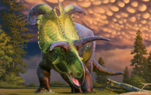 2024’s Weirdest Science Stories: A Year-End Quiz