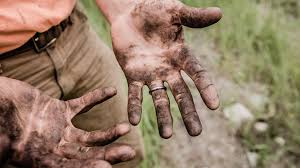 A Mad December: Work, Generosity, AI Disruption, and a Personal Health Experiment
