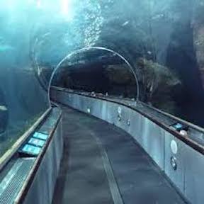 Video Picks: From Tunnel Engineering to Honor Killings
