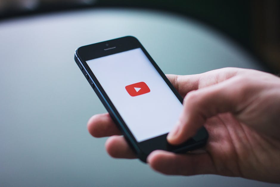 24 Quick Videos Worth 12 Minutes of Your Time