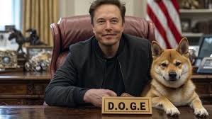 DOGE and Elon Musk: Can Government Waste Be Cut or Is the Swamp Too Deep?