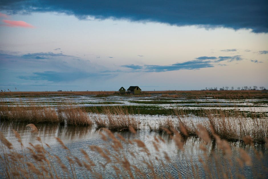 What’s Lurking Beneath the Swamp: February Journal Clippings