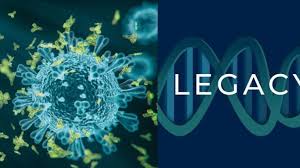 COVID-19 Pandemic Analysis: Early Numbers, Testing, Case Fatality, and Lockdowns Explained