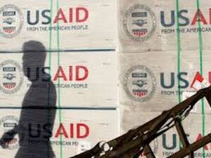 Immigration, Foreign Aid, and State Budgets: The Facts on Due Process, USAID Spending, and California vs Florida