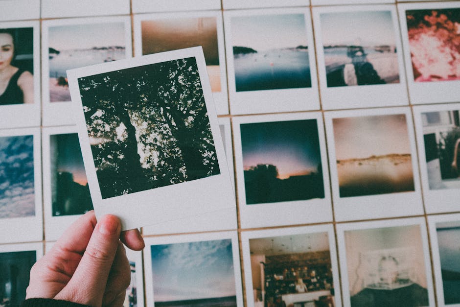 25 Links and Videos Worth Your Time