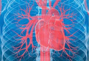 COVID Vaccine Controversy Part Three: Alleged mRNA Risks, Heart Conditions, and Government-Media Cover-Up Claims