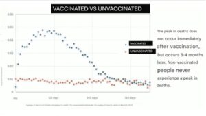 COVID Vaccine Risks? Inside Japan’s 2025 All-Cause Mortality Findings