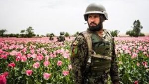 CIA, U.S. Military & the Afghanistan Heroin Trade: Investigating 40 Years of Covert Drug Trafficking Claims