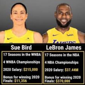The So-Called “Gender Pay Gap” in the WNBA 