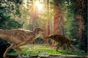 Surprising Facts About Lions & Scavengers