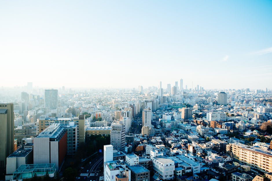 Japan Update, NYC Mayoral Race, and the No Kings Day Protests
