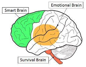 How to Change Your Behavior by Using Your Entire Brain