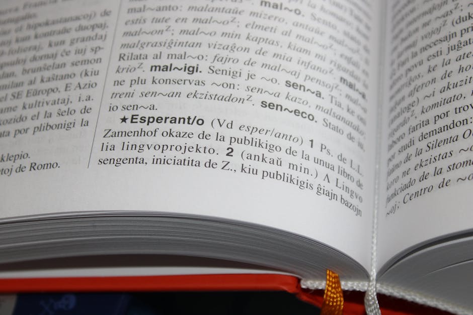 The American Bilingual Project: A Lifelong Language Learning Journey