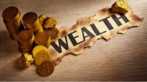 The Principles of Wealth – a Work in Progress 