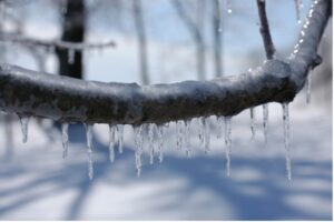 Okay, Mother Nature, Enough Is Enough!