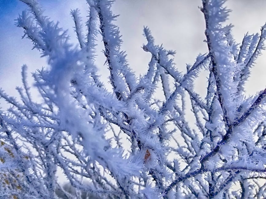 Okay, Mother Nature, Enough Is Enough! 