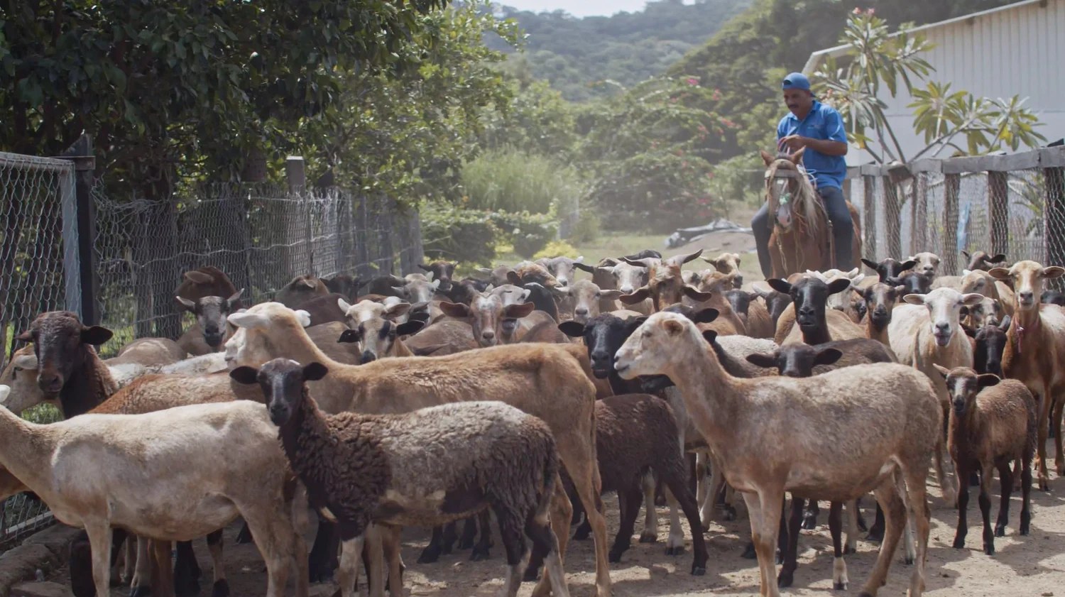 The FunLimón farm and campus in Tola, Nicaragua