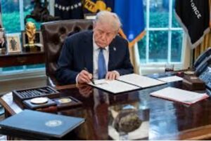 The Triumph of the Executive Order