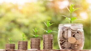 Are You an Investor or a Wealth Builder?